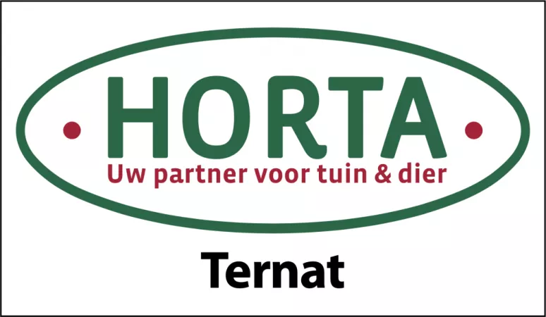 Horta